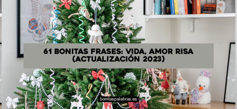 61 Bonitas Frases: Vida, Amor Risa (Actualización 2024)