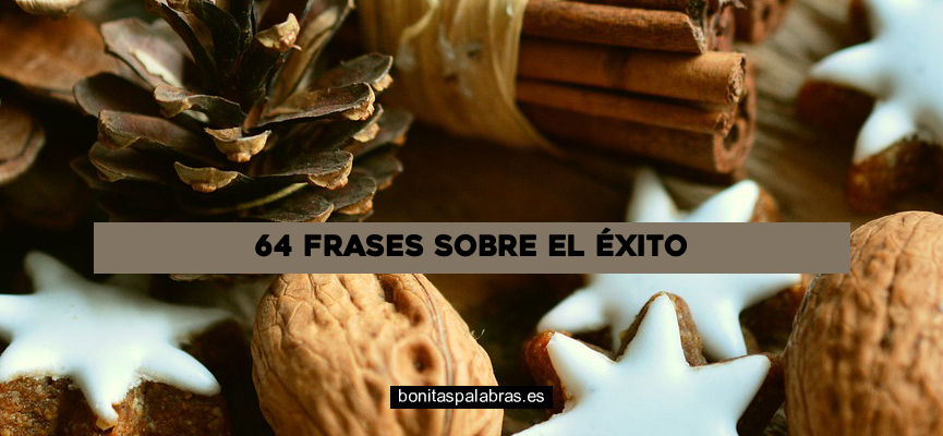 64 Frases sobre el Éxito