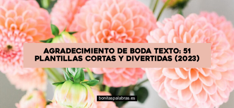 Agradecimiento de Boda Texto: 51 Plantillas Cortas y Divertidas (2024)