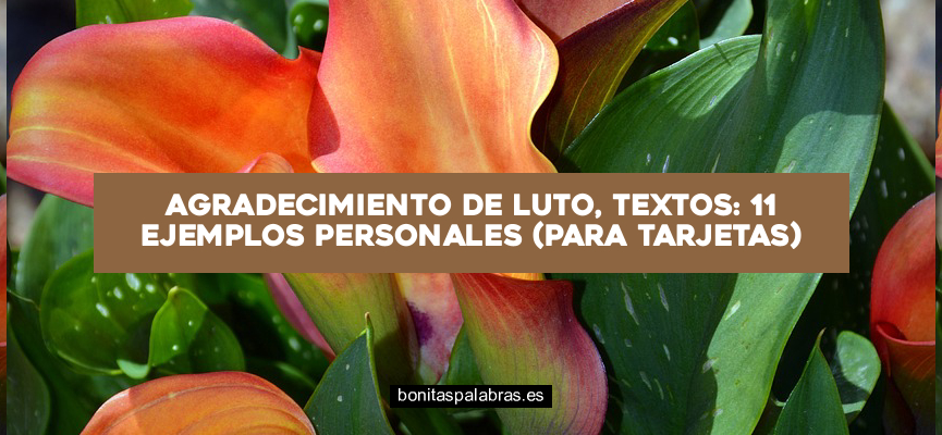 Agradecimiento de Luto, Textos: 11 Ejemplos Personales (Para Tarjetas)