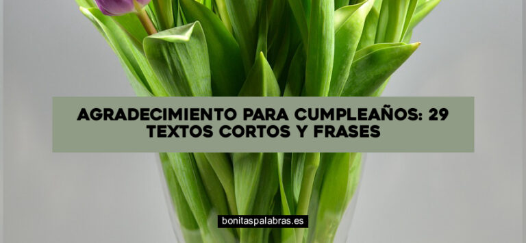 Agradecimiento para Cumpleaños: 29 Textos Cortos y Frases