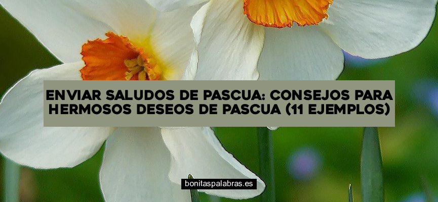 Enviar Saludos de Pascua: Consejos para Hermosos Deseos de Pascua (11 Ejemplos)