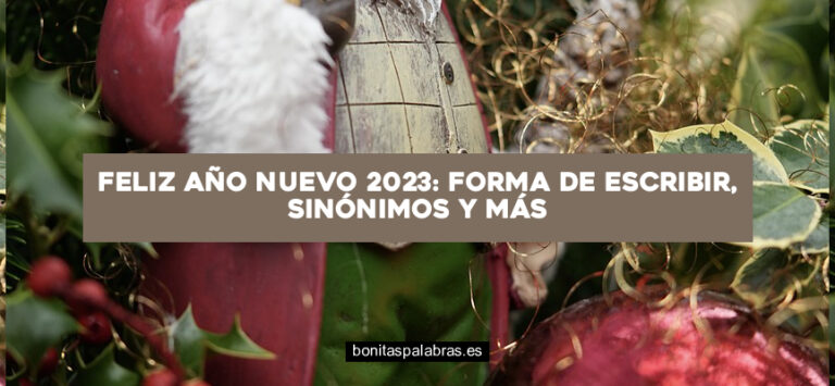Feliz Año Nuevo 2024: Forma de Escribir, Sinónimos y Más