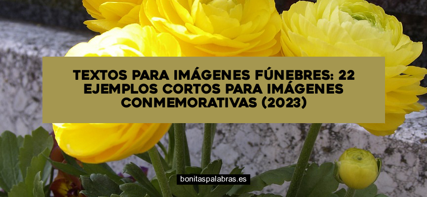 Textos para Imágenes Fúnebres: 22 Ejemplos Cortos para Imágenes Conmemorativas (2024)