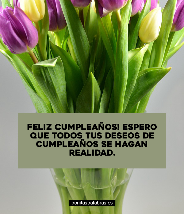 Imagen de Feliz Cumpleanos Espero Que Todos Tus Deseos De Cumpleanos Se Hagan Realidad