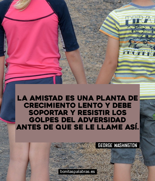 Imagen de La Amistad Es Una Planta De Crecimiento Lento Y Debe Soportar Y Resistir Los Golpes Del Adversidad Antes De Que Se Le Llame Asi