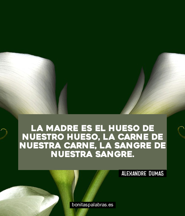 Imagen de La Madre Es El Hueso De Nuestro Hueso La Carne De Nuestra Carne La Sangre De Nuestra Sangre