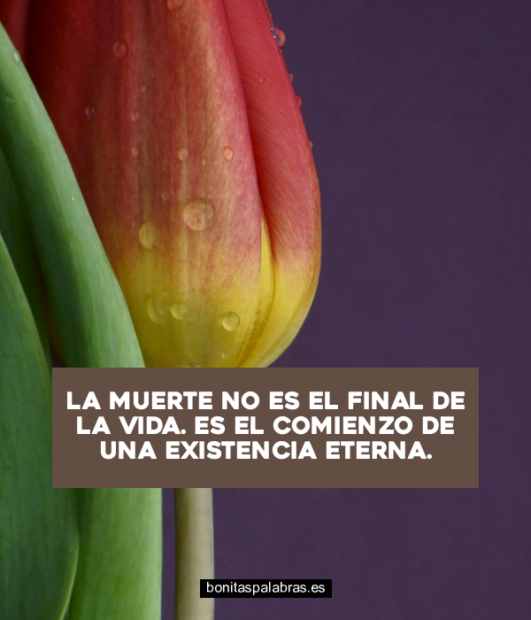 Imagen de La Muerte No Es El Final De La Vida Es El Comienzo De Una Existencia Eterna