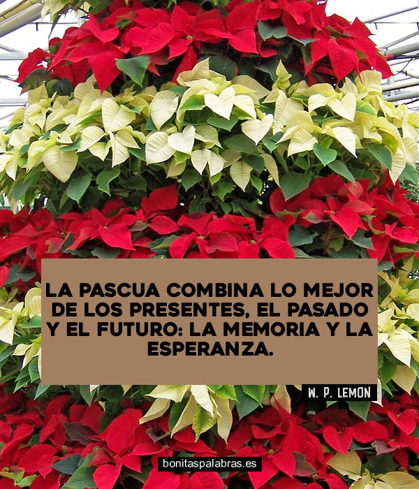 Imagen de La Pascua Combina Lo Mejor De Los Presentes El Pasado Y El Futuro La Memoria Y La Esperanza