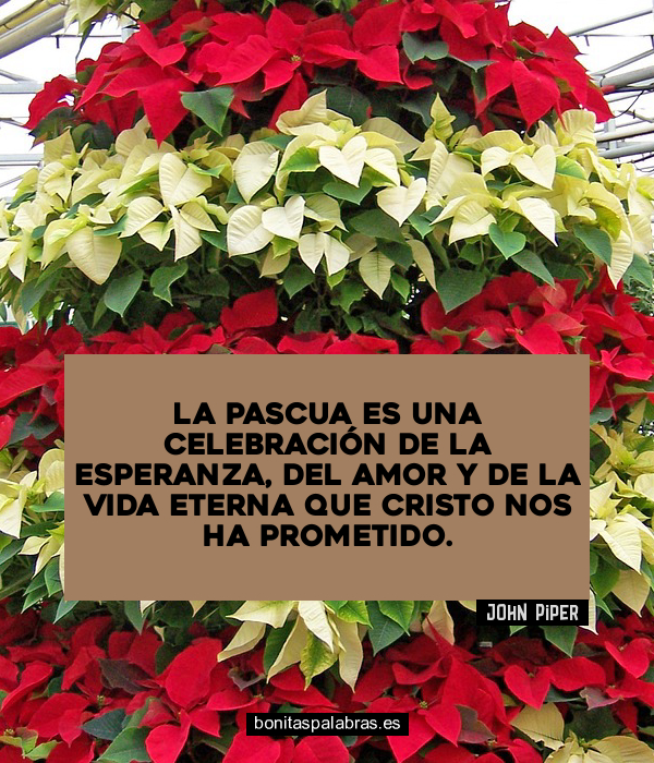 Imagen de La Pascua Es Una Celebracion De La Esperanza Del Amor Y De La Vida Eterna Que Cristo Nos Ha Prometido