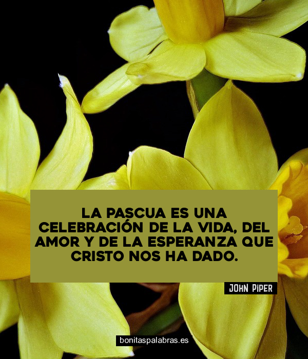 Imagen de La Pascua Es Una Celebracion De La Vida Del Amor Y De La Esperanza Que Cristo Nos Ha Dado