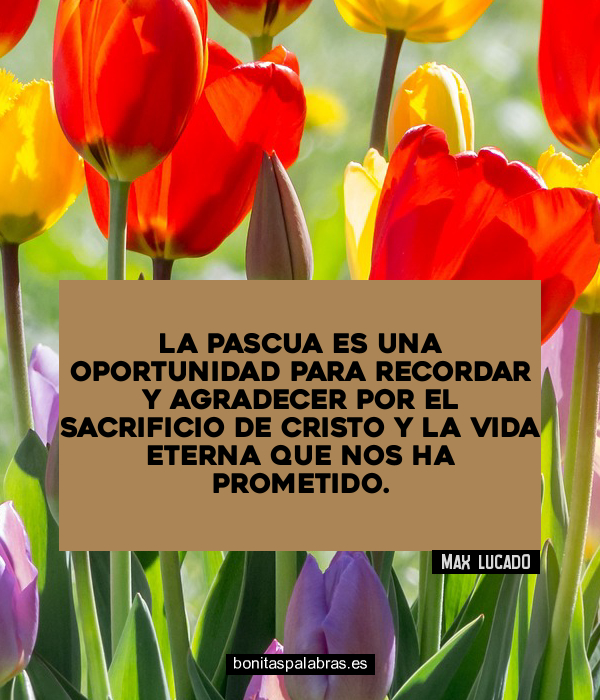 Imagen de La Pascua Es Una Oportunidad Para Recordar Y Agradecer Por El Sacrificio De Cristo Y La Vida Eterna Que Nos Ha Prometido