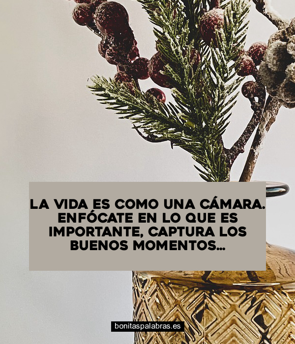 Imagen de La Vida Es Como Una Camara Enfocate En Lo Que Es Importante Captura Los Buenos Momentos