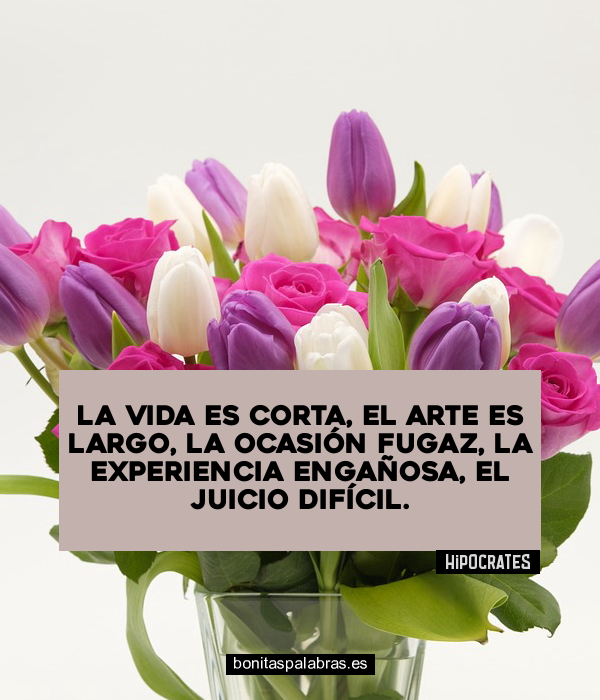 Imagen de La Vida Es Corta El Arte Es Largo La Ocasion Fugaz La Experiencia Enganosa El Juicio Dificil