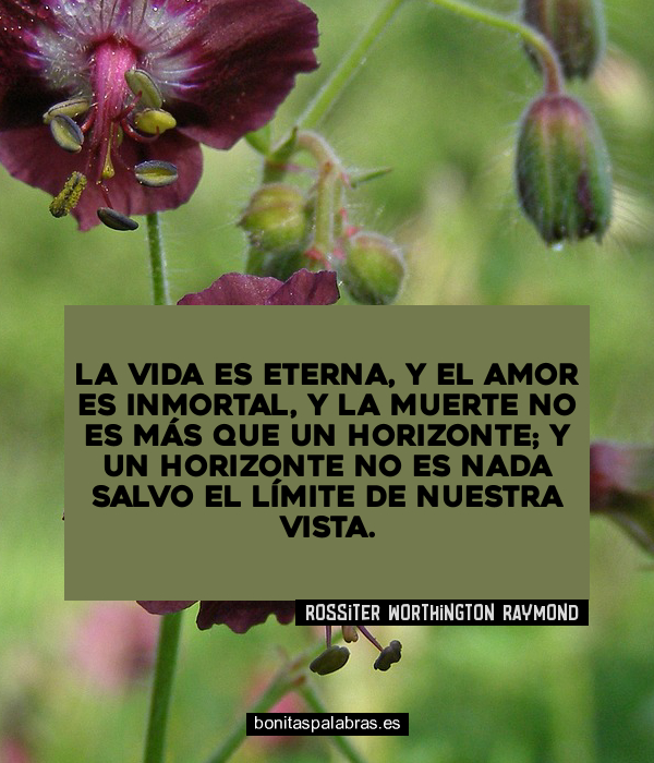 Imagen de La Vida Es Eterna Y El Amor Es Inmortal Y La Muerte No Es Mas Que Un Horizonte Y Un Horizonte No Es Nada Salvo El Limite De Nuestra Vista