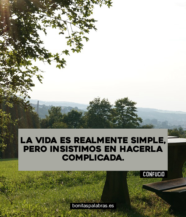 Imagen de La Vida Es Realmente Simple Pero Insistimos En Hacerla Complicada