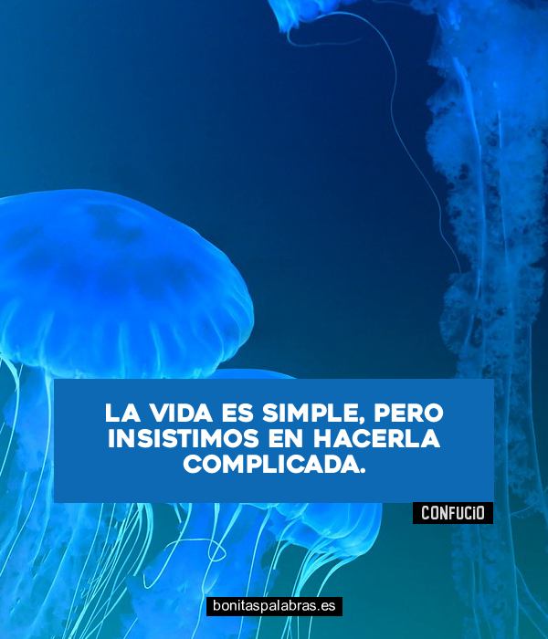 Imagen de La Vida Es Simple Pero Insistimos En Hacerla Complicada