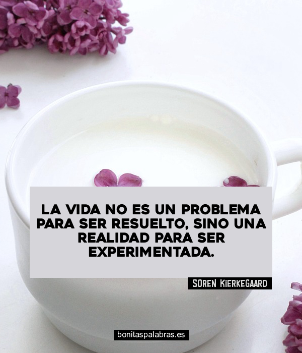 Imagen de La Vida No Es Un Problema Para Ser Resuelto Sino Una Realidad Para Ser Experimentada