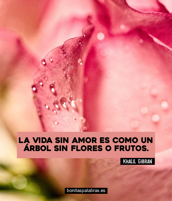 Imagen de La Vida Sin Amor Es Como Un Arbol Sin Flores O Frutos