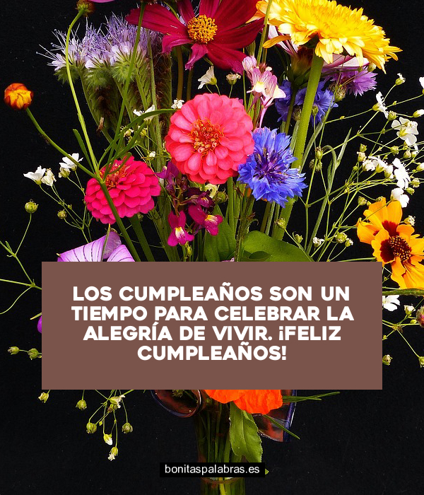 Imagen de Los Cumpleanos Son Un Tiempo Para Celebrar La Alegria De Vivir Feliz Cumpleanos