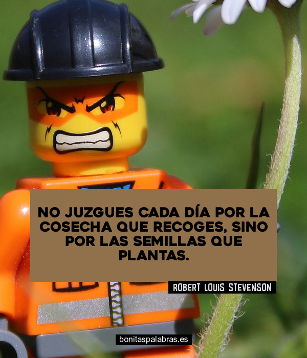 Imagen de No Juzgues Cada Dia Por La Cosecha Que Recoges Sino Por Las Semillas Que Plantas