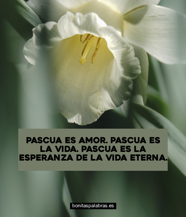 Imagen de Pascua Es Amor Pascua Es La Vida Pascua Es La Esperanza De La Vida Eterna