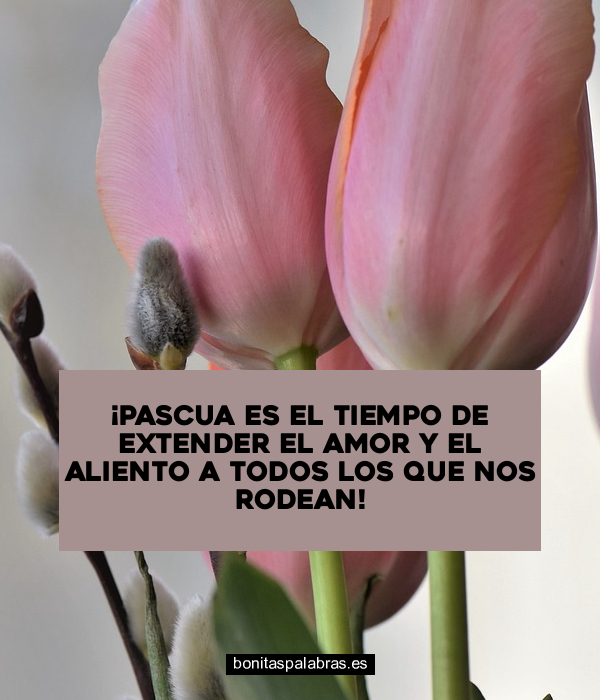 Imagen de Pascua Es El Tiempo De Extender El Amor Y El Aliento A Todos Los Que Nos Rodean