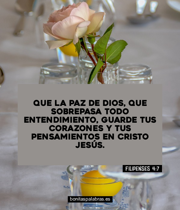 Imagen de Que La Paz De Dios Que Sobrepasa Todo Entendimiento Guarde Tus Corazones Y Tus Pensamientos En Cristo Jesus