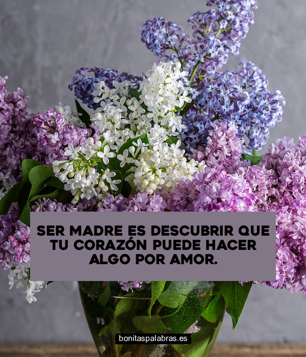 Imagen de Ser Madre Es Descubrir Que Tu Corazon Puede Hacer Algo Por Amor
