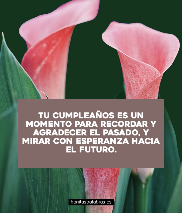 Imagen de Tu Cumpleanos Es Un Momento Para Recordar Y Agradecer El Pasado Y Mirar Con Esperanza Hacia El Futuro