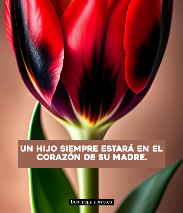 Imagen de Un Hijo Siempre Estara En El Corazon De Su Madre