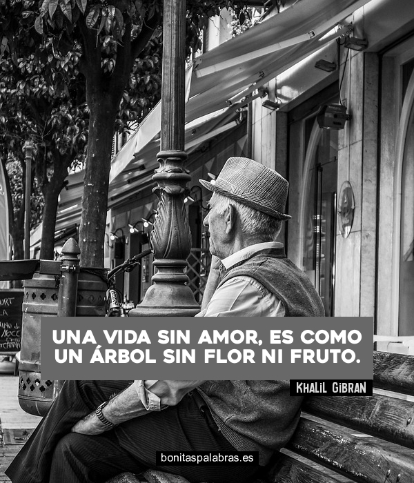 Imagen de Una Vida Sin Amor Es Como Un Arbol Sin Flor Ni Fruto