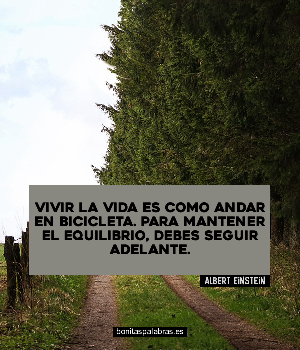 Imagen de Vivir La Vida Es Como Andar En Bicicleta Para Mantener El Equilibrio Debes Seguir Adelante