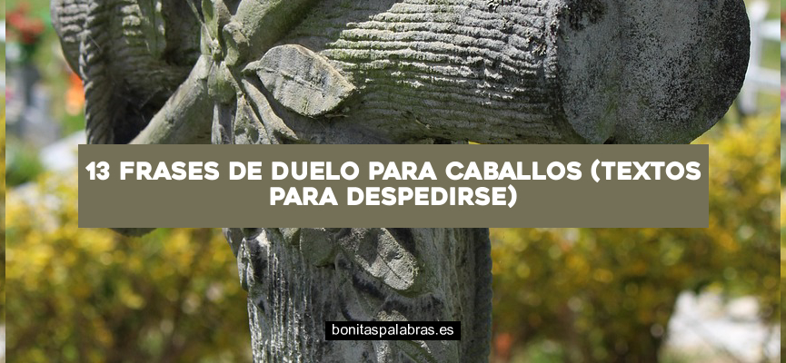 13 Frases de Duelo para Caballos (Textos para Despedirse)