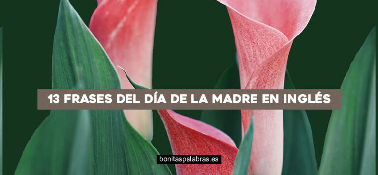 13 Frases del Día de la Madre en Inglés