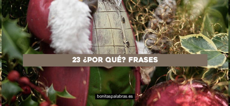 23 ¿Por qué? Frases