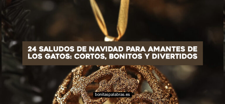 24 Saludos de Navidad para Amantes de Los Gatos: Cortos, Bonitos y Divertidos