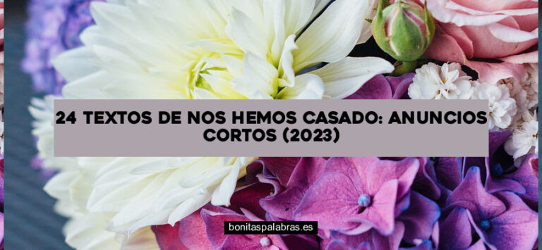 24 Textos de «Nos Hemos Casado»: Anuncios Cortos (2024)