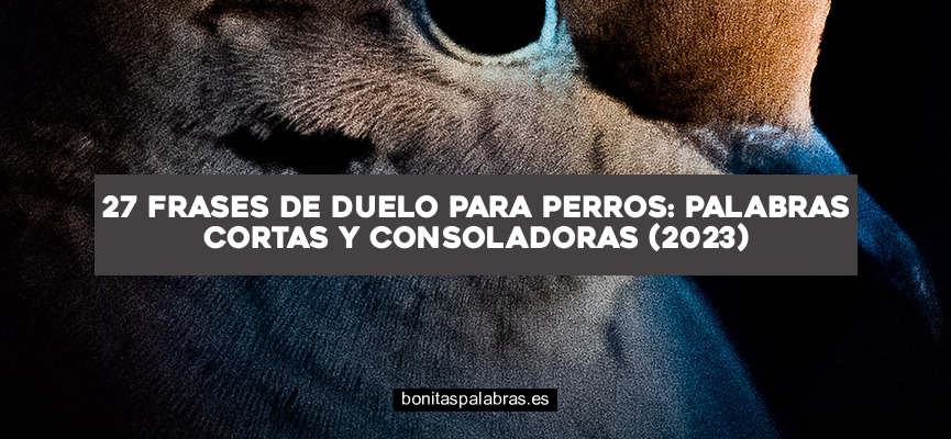 27 Frases de Duelo para Perros: Palabras Cortas y Consoladoras (2024)