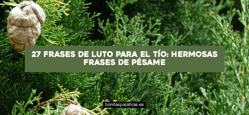 27 Frases de Luto para el Tío: Hermosas Frases de Pésame