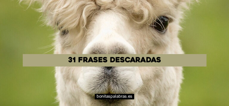 31 Frases Descaradas