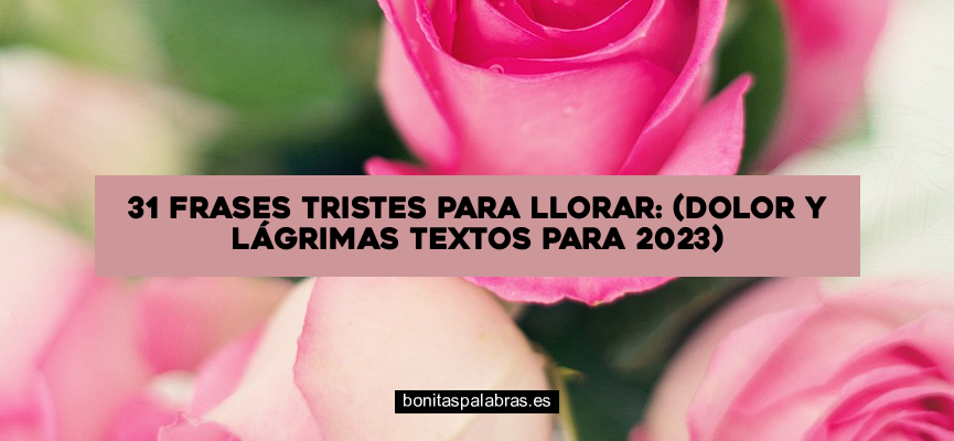 31 Frases Tristes para Llorar: (Dolor y Lágrimas Textos para 2024)