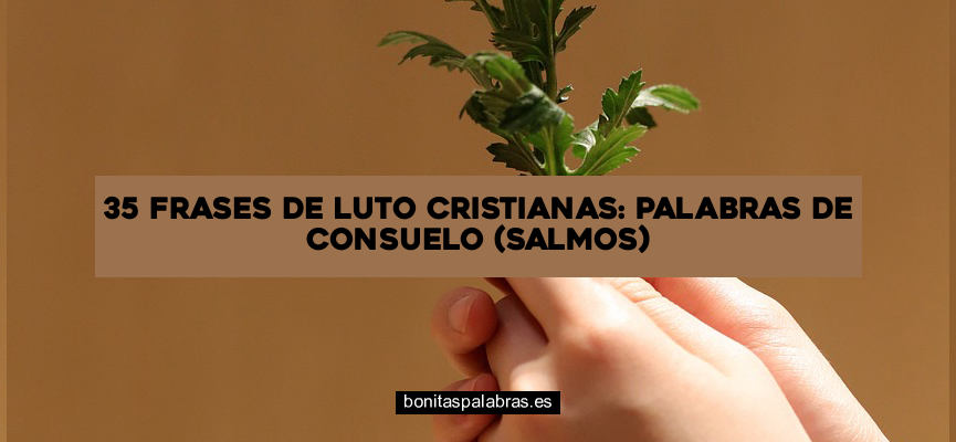 35 Frases de Luto Cristianas: Palabras de Consuelo (Salmos)