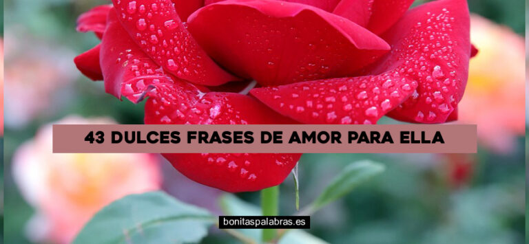 43 Dulces Frases de Amor para Ella