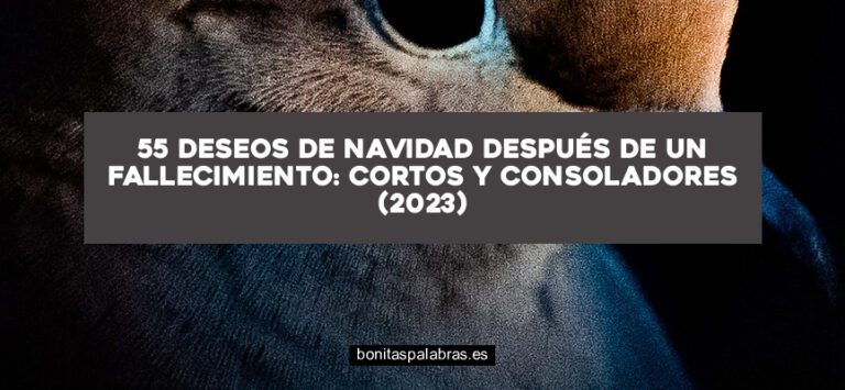 55 Deseos de Navidad Después de Un Fallecimiento: Cortos y Consoladores (2024)