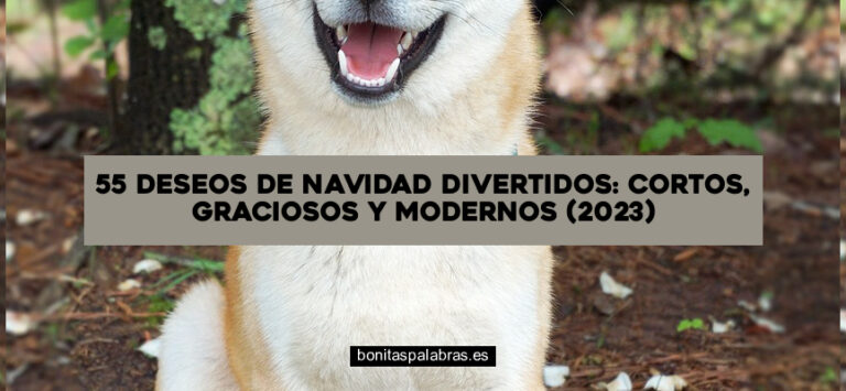 55 Deseos de Navidad Divertidos: Cortos, Graciosos y Modernos (2024)