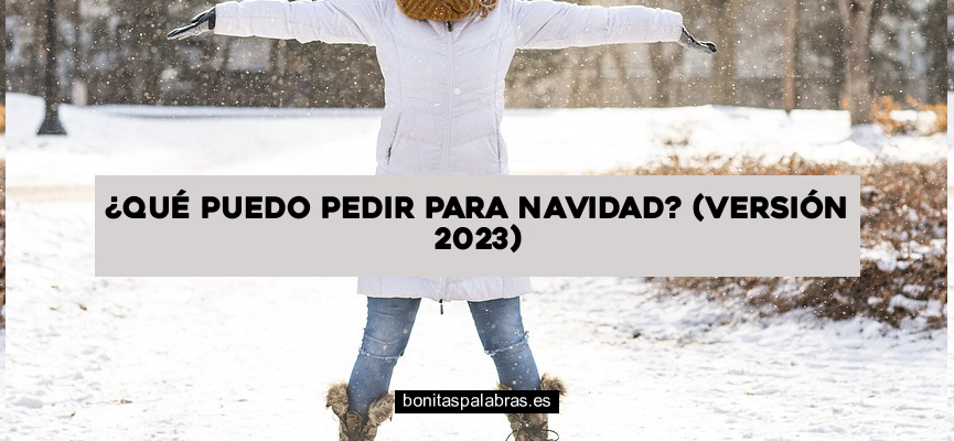 ¿Qué Puedo Pedir para Navidad? (Versión 2024)