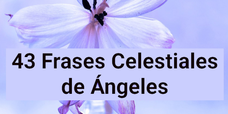 43 Frases Celestiales de Ángeles