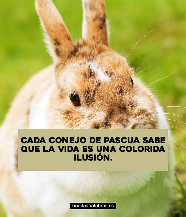 Imagen de Cada Conejo De Pascua Sabe Que La Vida Es Una Colorida Ilusion